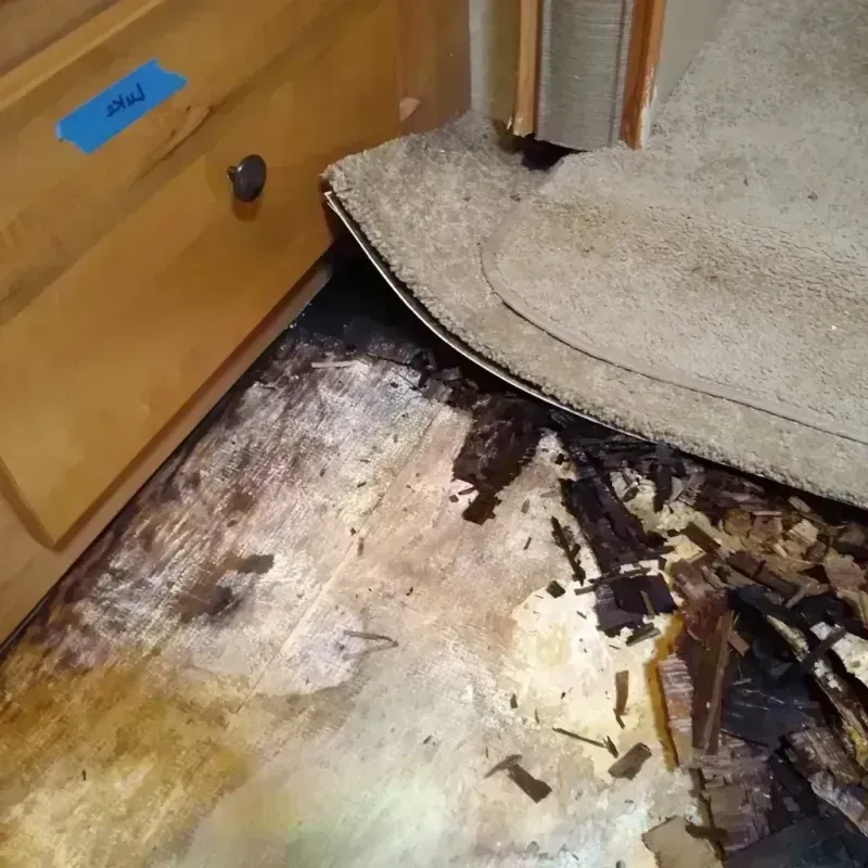 Wood Floor Water Damage in Ogden, NC